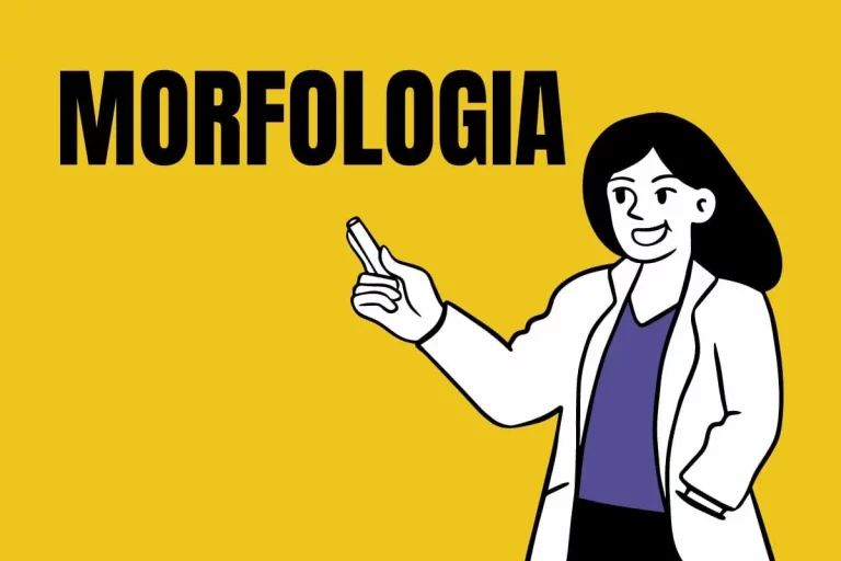 morfologia-na-lingua-portuguesa